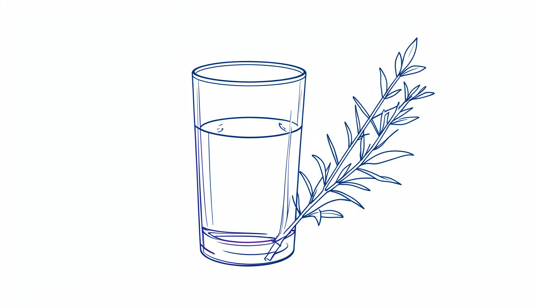 Dessin au trait épuré d'un verre d'eau et d'une branche de thé vert, tons bleu marine et blanc cassé